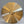 Timothy Roberts Cymbals Prism 24