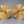 Timothy Roberts Cymbals Landmark 14