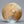 Used Domene Wox Moon 22