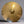 Used Zildjian A 50's Trans Stamp 20