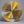 Cymbal with 'Istanbul' branding on a dark background