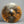 Used Sabian HHX Evolution 12
