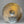 cymbal