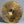 Used Sabian HH Raw Dry Ride 2126g