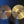 Used Paiste Giant Beat 14