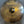 Used Kirkor Kucukyan 22