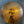 Used Zildjian K Custom Organic 21