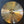 Nicky Moon Sentinel Champagne 20