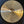 Nicky Moon Sentinel Champagne 22