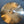 Royal Cymbals Brilliant 20