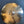 Royal Cymbals Stellar Brilliant 20