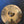 Used T-Cymbals T-Xtra 10